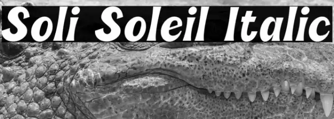 Soli Soleil Italic Font examples