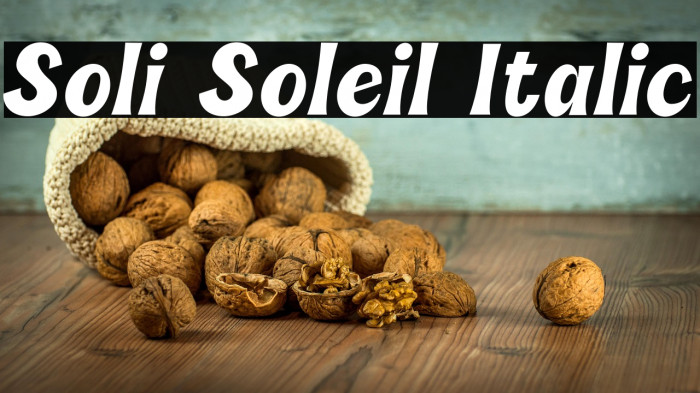 Soli Soleil Italic Example 3