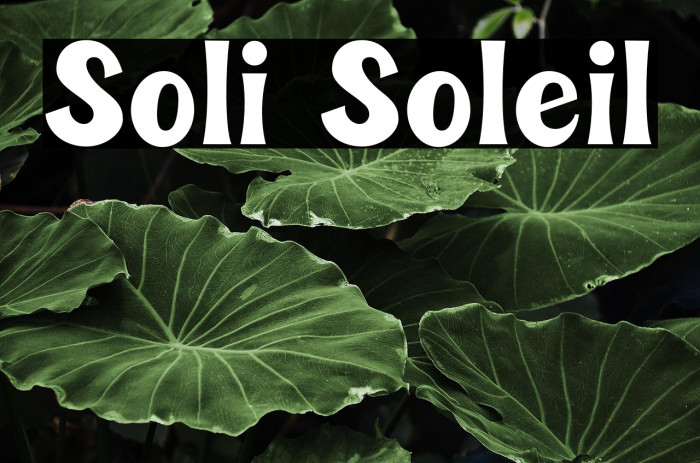 Soli Soleil Example 1