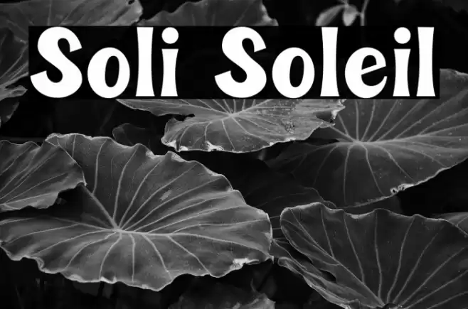 Soli Soleil Font examples
