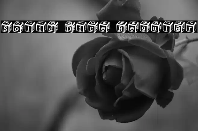 Solid Dice Regular Font examples