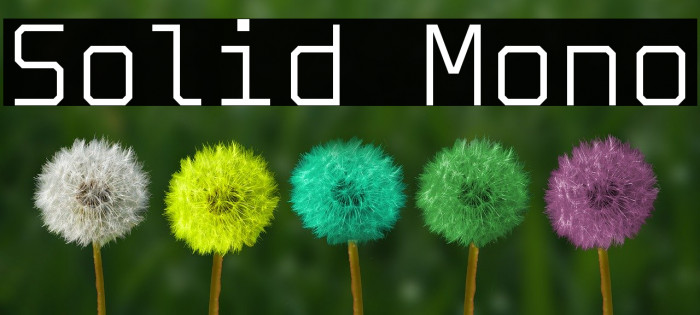 Solid Mono Font examples