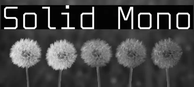 Solid Mono フォント examples