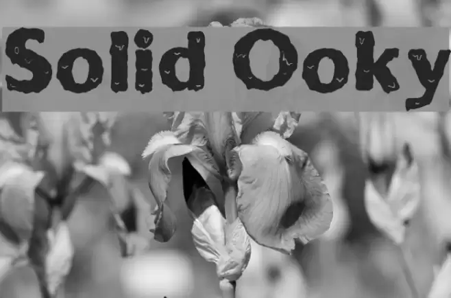 Solid Ooky Font examples