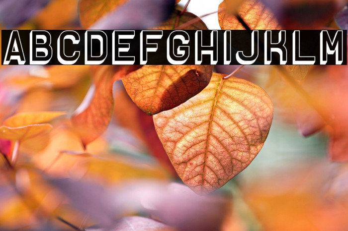 Solid Sans 3D Example 1