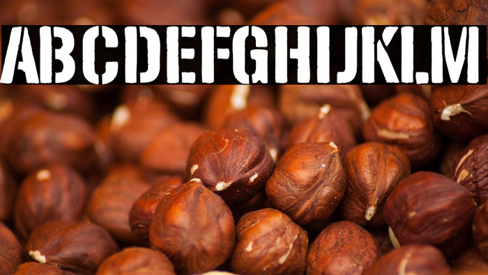 Solid Stencil 2023 Example 1