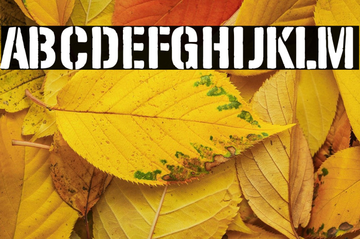 Solid Stencil 2023 Example 3