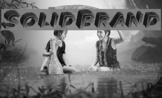 SolidBrand Polices examples