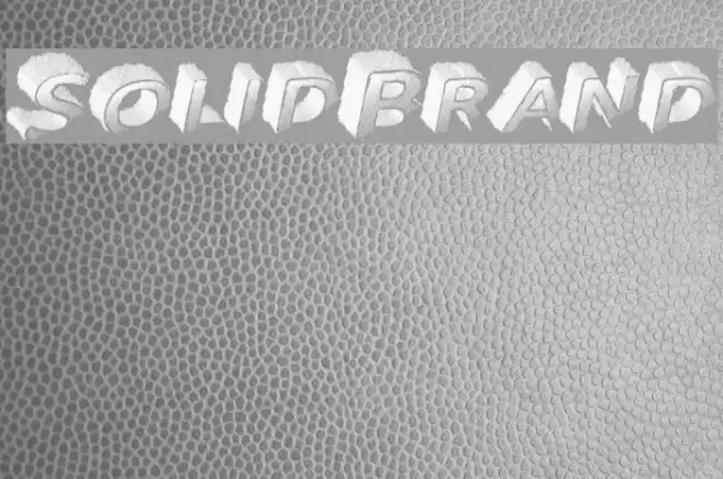 SolidBrand Polices examples