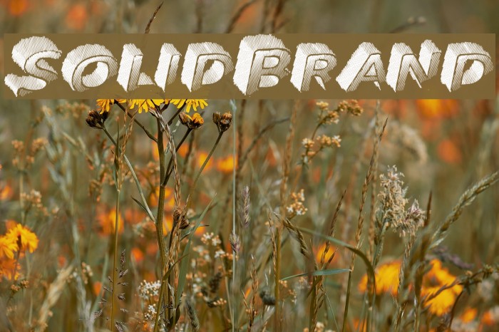 SolidBrand Font examples