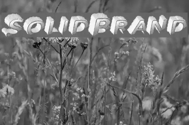 SolidBrand Polices examples