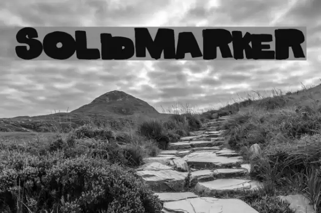 SolidMarker Font examples