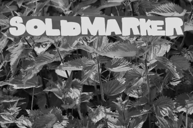 SolidMarker Font examples