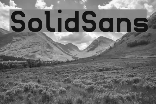 SolidSans Font examples