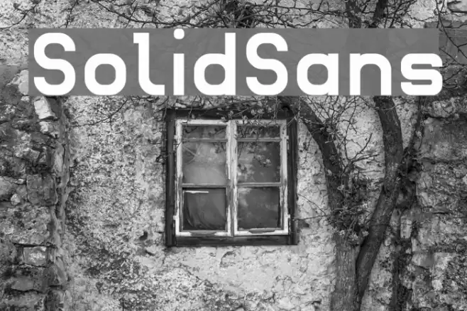 SolidSans Font examples