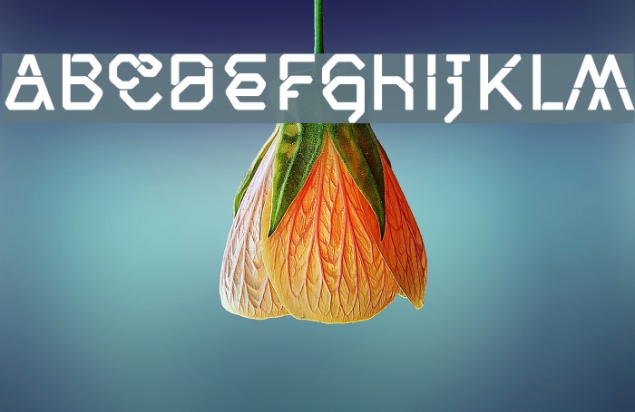 Meila solid шрифт. Solid font. Solid font. Meila solid шрифт. Solid font.