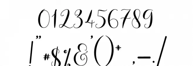 Solidar Light Font OTHER CHARS