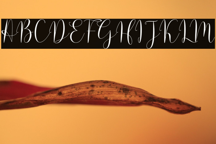 Solidar Light Example 1