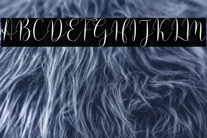 Solidar Light Example 2