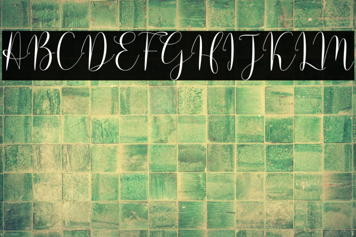 Solidar Light Example 3