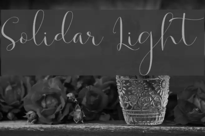 Solidar Light Font examples