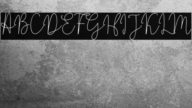 Solidar Monoline Light Font examples