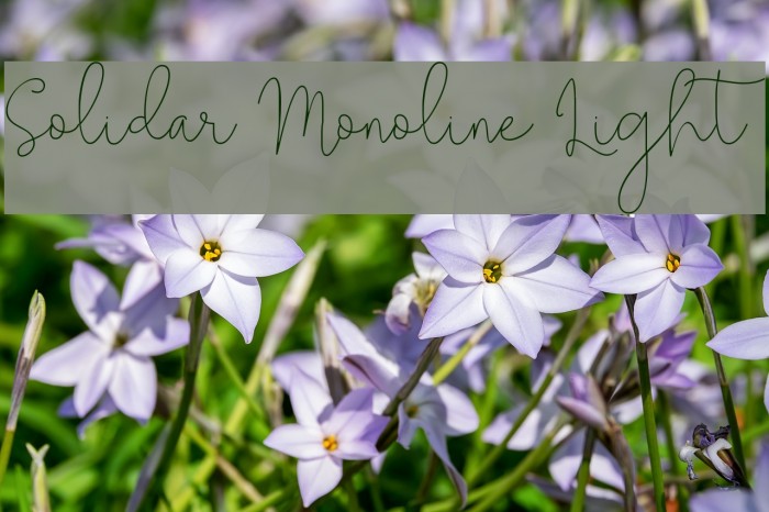 Solidar Monoline Light Example 1