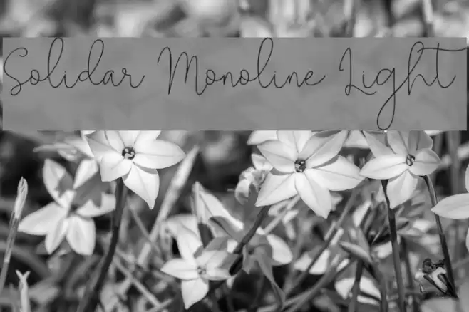 Solidar Monoline Light Font examples