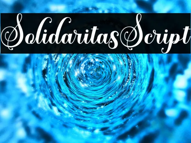 SolidaritasScript Example 2
