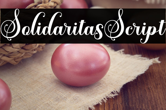 SolidaritasScript Example 3