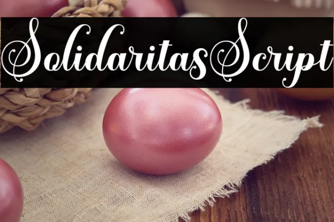 SolidaritasScript Example 3