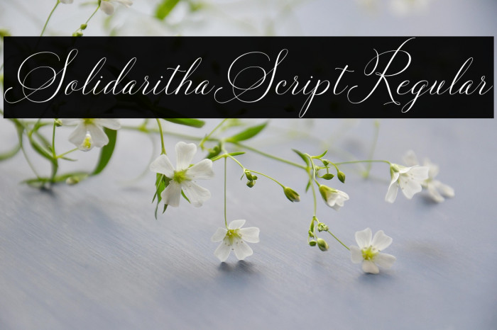 SolidarithaScript-Regular Example 1