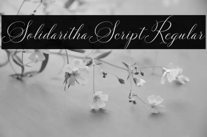 SolidarithaScript-Regular Font examples