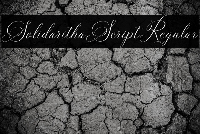 SolidarithaScript-Regular Example 2