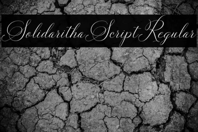 SolidarithaScript-Regular Font examples