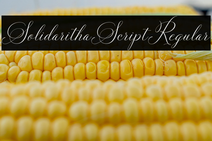 SolidarithaScript-Regular Example 3