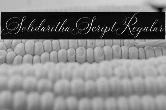 SolidarithaScript-Regular Font examples