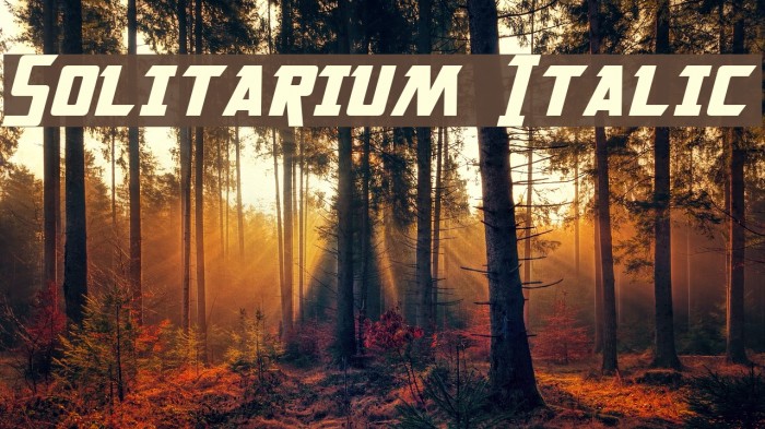 Solitarium Italic Font examples