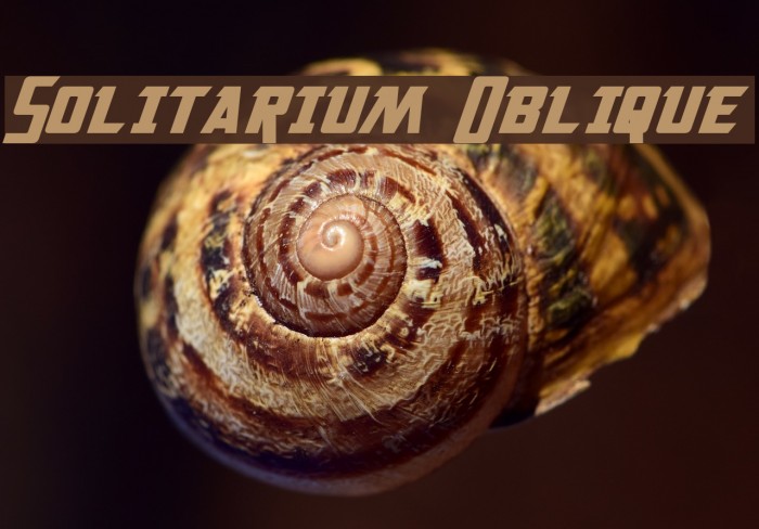 Solitarium Oblique Font examples