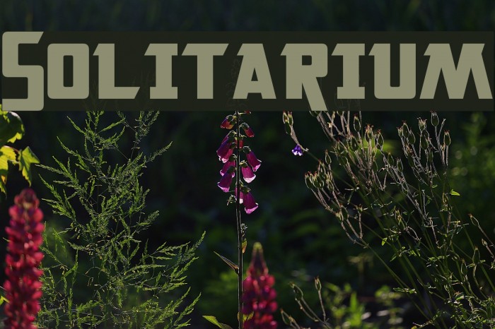 Solitarium Font examples