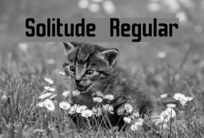 Solitude Regular Font examples
