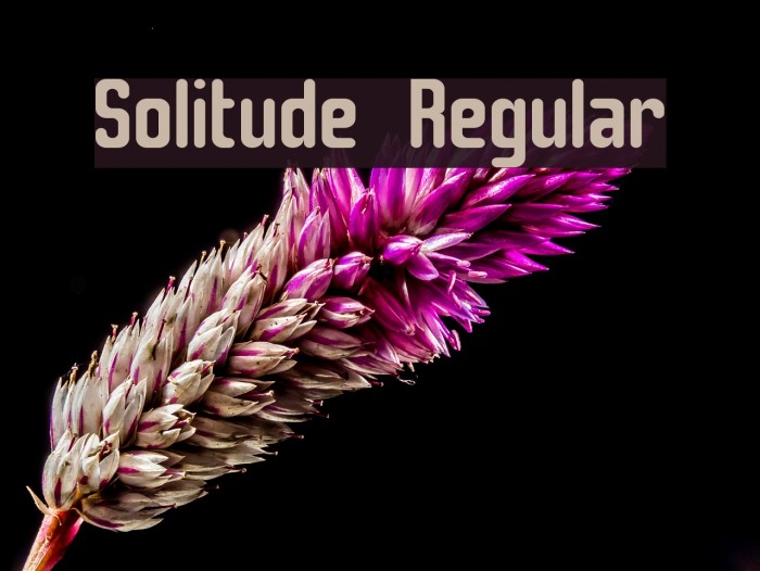Solitude Regular Example 2
