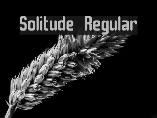 Solitude Regular Font examples