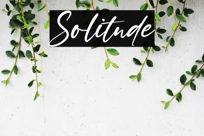 Solitude Example 2