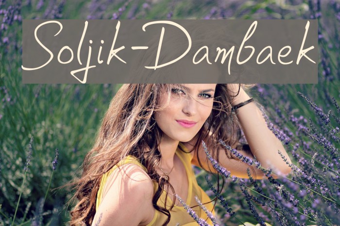 Soljik-Dambaek Font examples