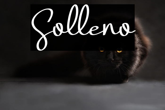 Solleno Example 1