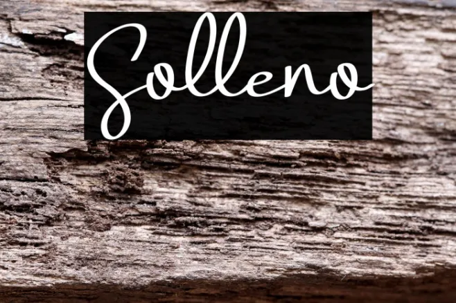 Solleno Example 2