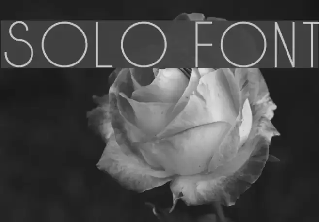 Solo Font examples