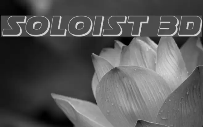 Soloist 3D Font examples