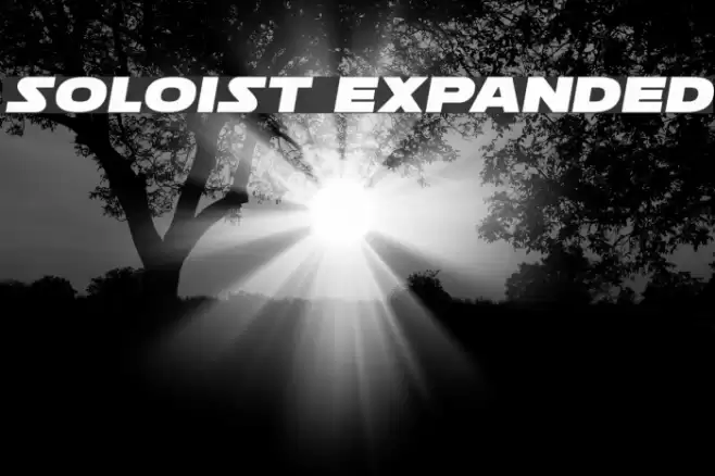 Soloist Expanded Font examples